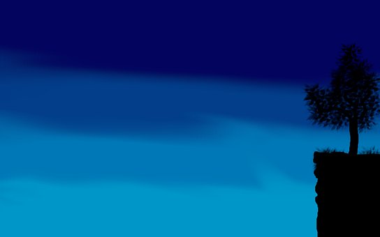 Nat, Natur, Himmel, Landskab, Træ, Top