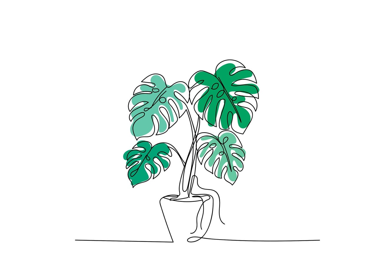 Download Plant, Houseplant, Monstera. Royalty-Free Stock Illustration Image  - Pixabay