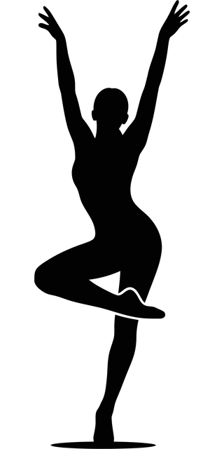 Danser, Silhouet, Ballet, Vrouw