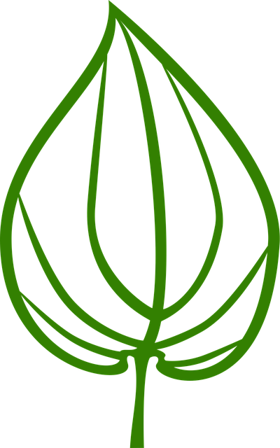 Free Betel Leaf vector and picture