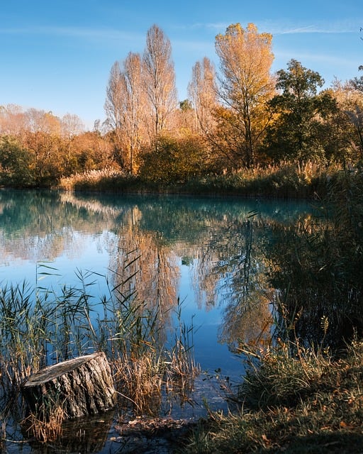 Free Lake Reflection photo and picture