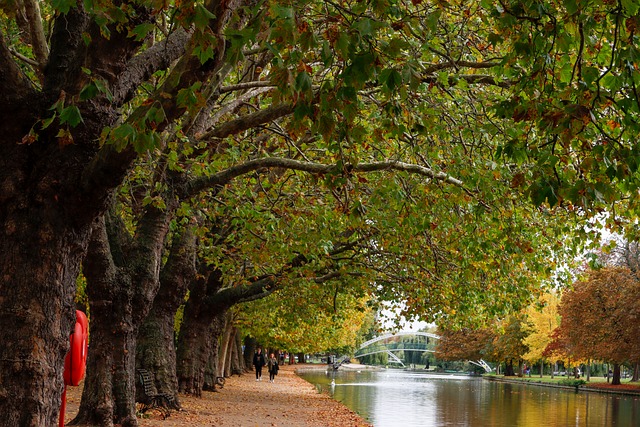 Free Bedford England photo and picture