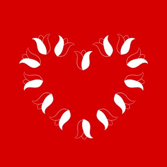 Namorados, Vermelho, Flores, Tulipas