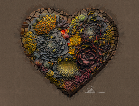 Saftig, Natur, Kaktus, Pflanze, Flora