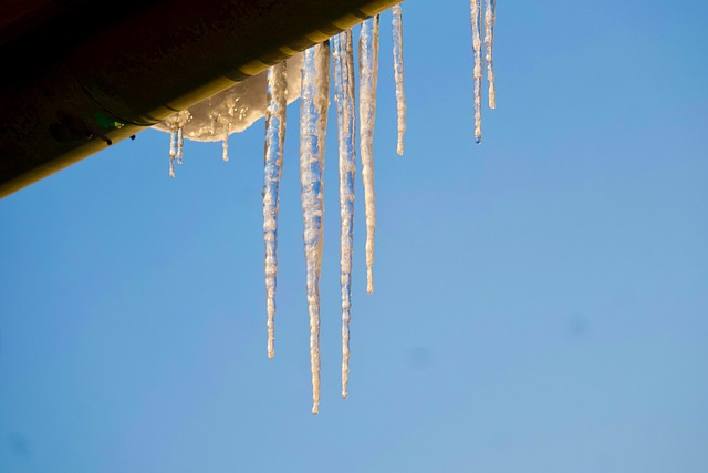 Free Icicles Winter photo and picture