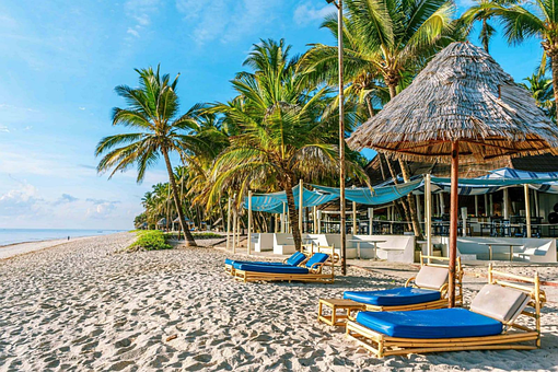 Strand, Palmenbaum, Sonne, Blauer Himmel