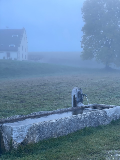 Free Fountain Fog photo and picture