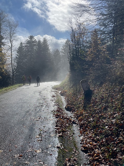 Free Hiking Nature photo and picture