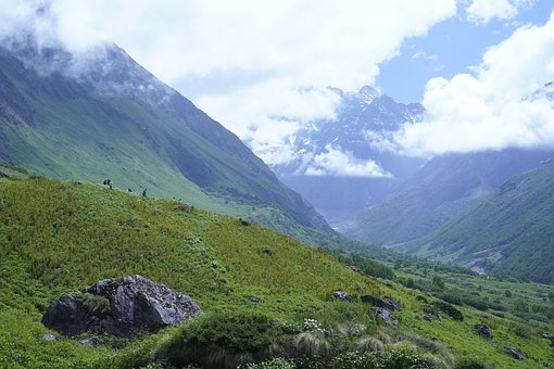 Free Valley Flower Meadow photo and picture