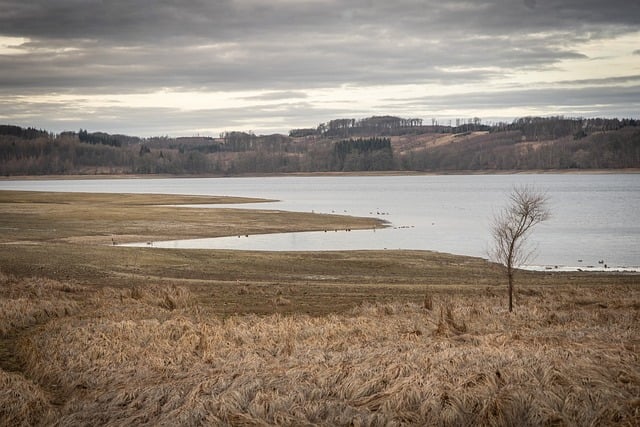 Free Lake Ducks photo and picture