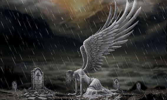 Free Angel Wing photo and picture