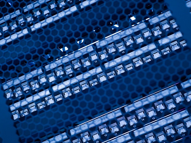 Free Network Server photo and picture