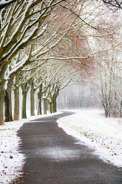 Inverno, Natureza, Neve, Geada, Invernal