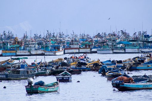Free Fishing Boats Harbor View photo and picture