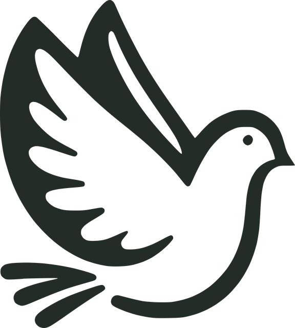 Free Dove Bird vector and picture