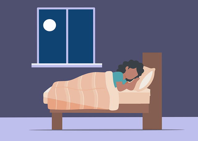 Free sleep bedroom bed vector