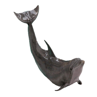 Free Dolphin Nature photo and picture
