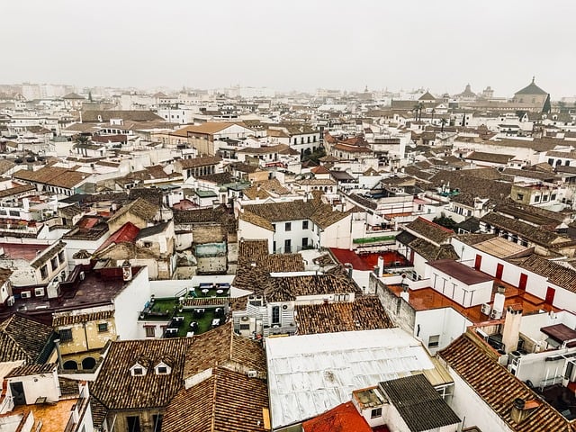 Sevilla, Stadtlandschaft, Dächer