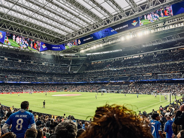 Fußball, Stadion, Menschenmenge, Fans