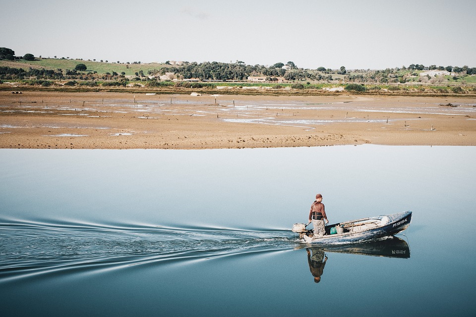 Trout Fishing 101: Essential Tips for New Anglers