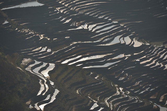 Free Yunnan Travel Rice Terraces photo and picture