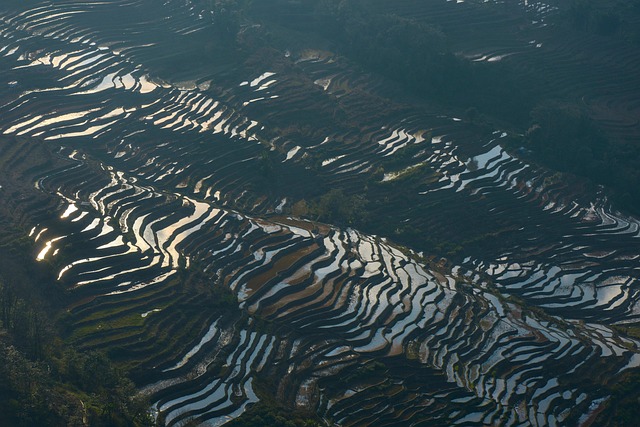 Free Yunnan Travel Rice Terraces photo and picture