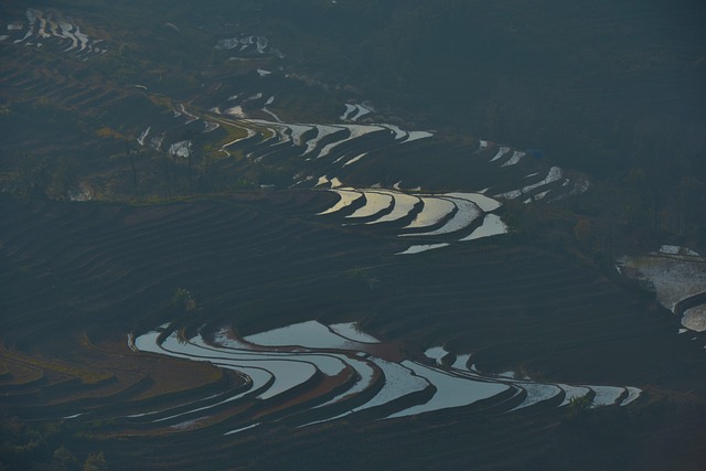 Free Yunnan Travel Rice Terraces photo and picture