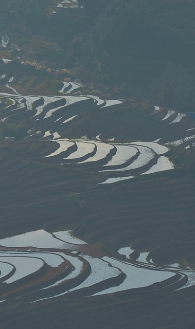 Free Yunnan Travel Rice Terraces photo and picture