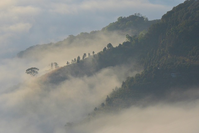 Free Yunnan Travel photo and picture