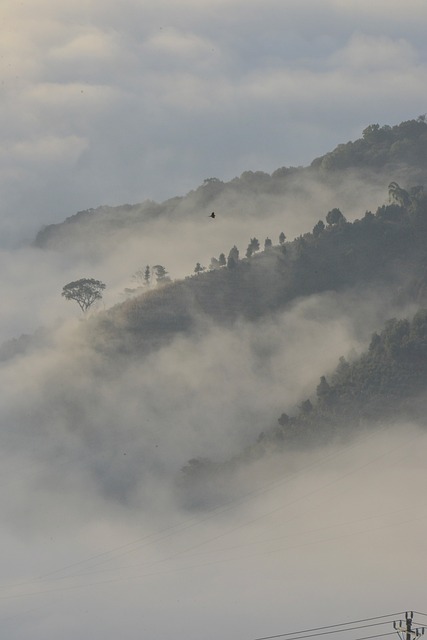 Free Alpenglow Clouds photo and picture