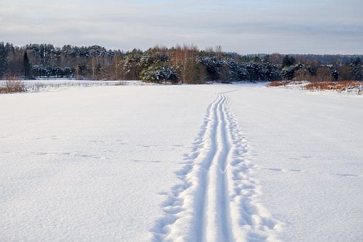 Free Field Ski Track photo and picture
