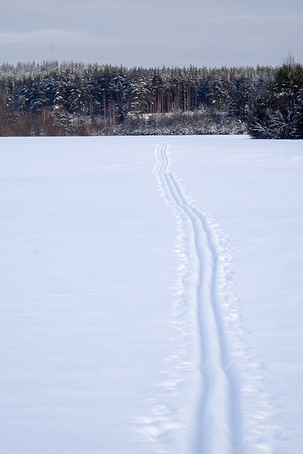 Free Ski Track Winter photo and picture