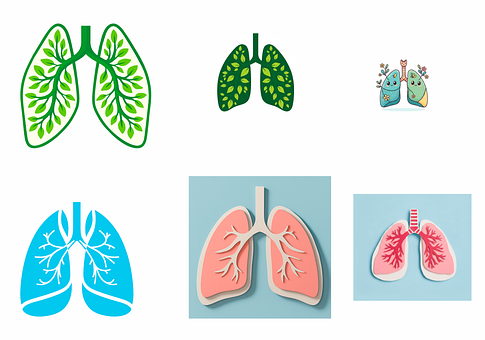 Free Lungs Lung photo and picture