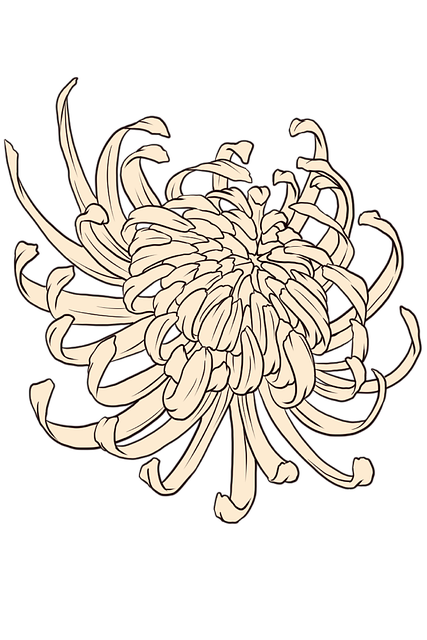 Free Chrysanthemum Nature photo and picture