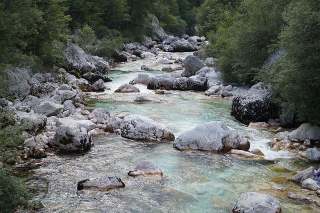 Free River Rocks photo and picture
