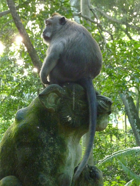 Free Monkey Statue photo and picture