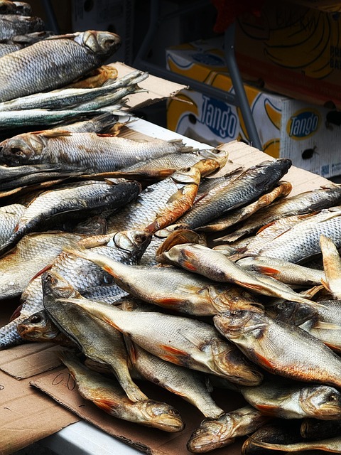 Free Fish Dry photo and picture