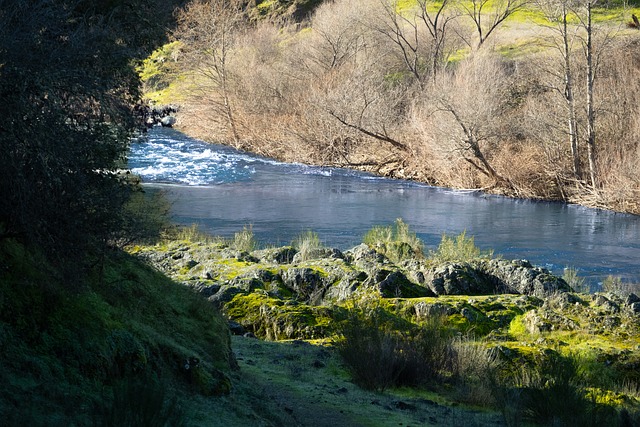 Free Nature River photo and picture