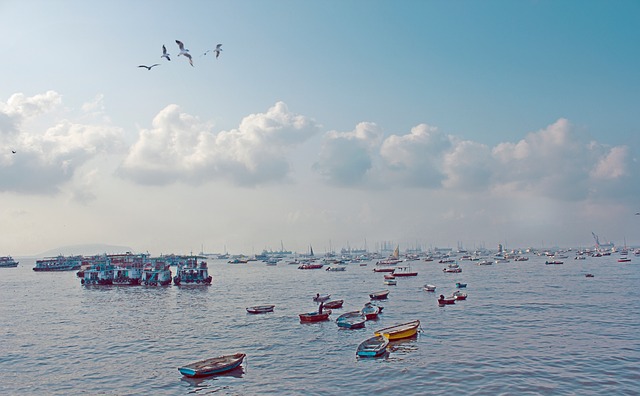 Küste, Boote, Bucht, Vögel, Wolken