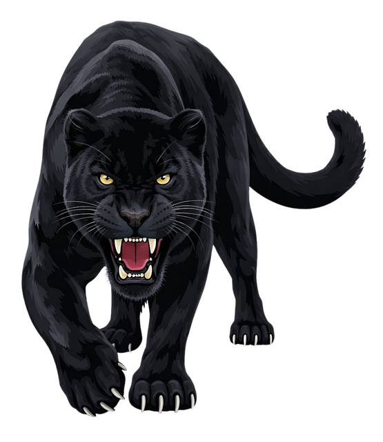 Black Panther, Panter, Panthera Pardus