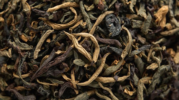 Free Loose Leaf Oolong Tea photo and picture