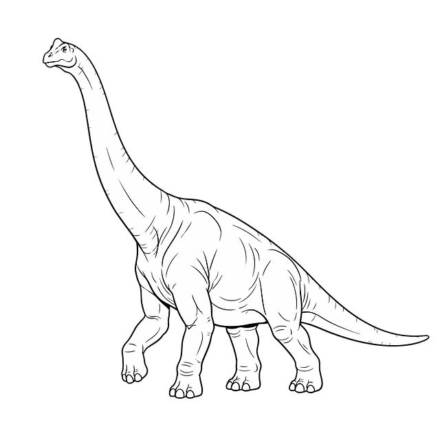 Free line art drawing design illustration