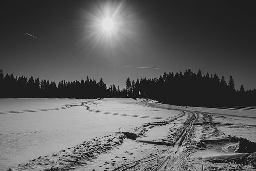 Free Winter Snow photo and picture