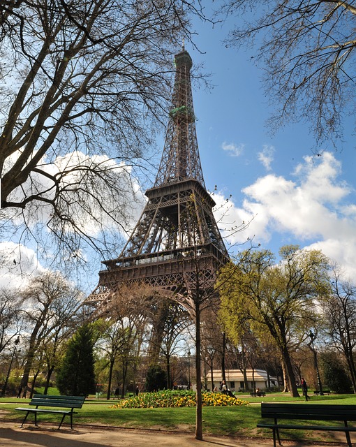 Free Optical Illusion Paris photo and picture