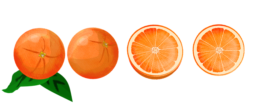 Free Fruit Orange illustration and picture