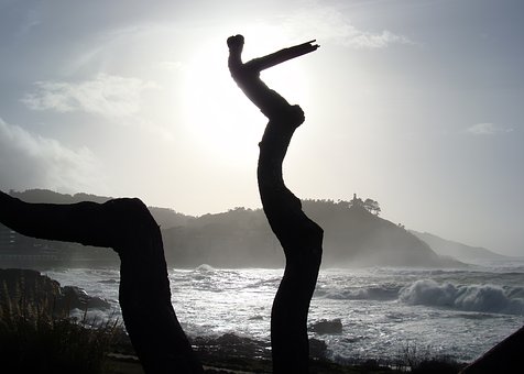 Free Sea Ocean photo and picture