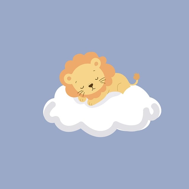 Free Lion Air photo and picture