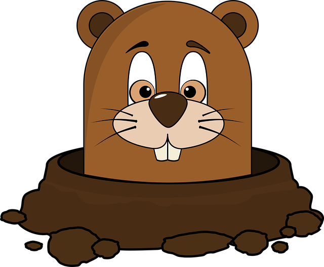 Free groundhog groundhog day woodchuck vector