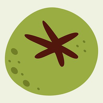 Free Green Nature vector and picture