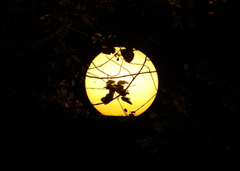 Free Light Shadow photo and picture